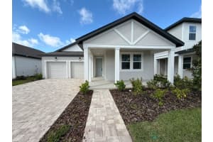 30155 Rustic Mill St, MOUNT DORA 30155 Rustic Mill St, MOUNT DORA