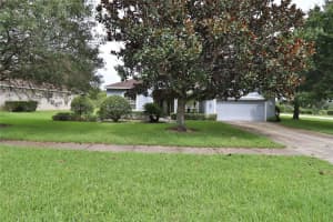 605 Cheviot Ct, APOPKA 605 Cheviot Ct, APOPKA