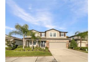 16136 Monterey Greens Cir, TAMPA