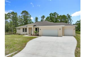 19041 Mardi Gras St, ORLANDO