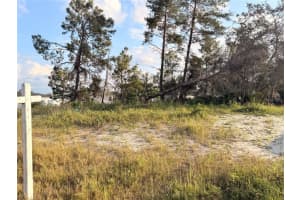 143 Zinnia Ln W, KISSIMMEE