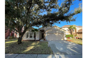 13422 Copper Head Drive, RIVERVIEW 13422 Copper Head Drive, RIVERVIEW