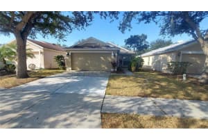 11208 Summer Star Drive, RIVERVIEW