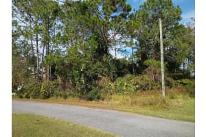 36 Buffalo Meadow Ln, PALM COAST