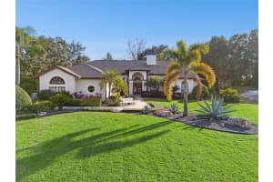 10442 Birch Tree Ln, WINDERMERE