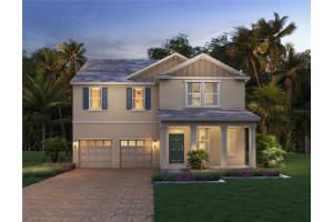 18049 Millhouse Way, WINTER GARDEN