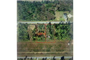 Nettleton St, ORLANDO