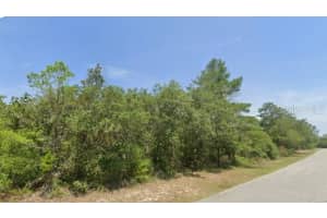 Lot 11 Persimmon St, EUSTIS