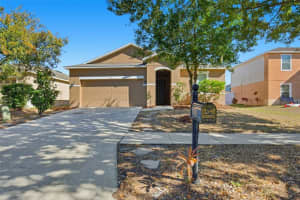 11150 Running Pine Dr, RIVERVIEW