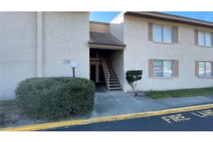 7502 Needle Leaf Pl #66, TAMPA