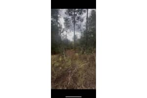 0 Sw 21 Pl, OCALA 0 Sw 21 Pl, OCALA