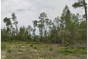 Tbd Sw 30th Ave Rd, OCALA