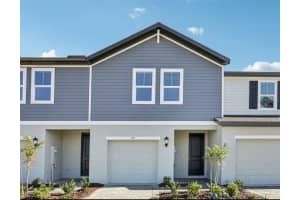 709 Spartina Way, LADY LAKE