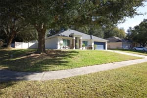 1319 Rain Forest Ln, MINNEOLA