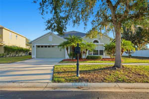 19043 New Passage Blvd, LAND O LAKES