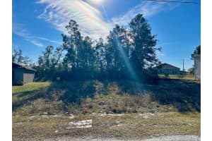 243 Gladiola Ct, KISSIMMEE