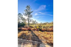 110 Dartmoor Ave, LAKE PLACID