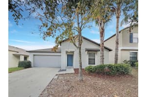10113 Rosemary Leaf Ln, RIVERVIEW