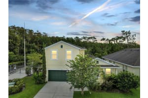 14819 Del Morrow Way, ORLANDO