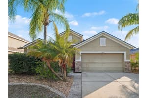 11409 Flora Springs Dr, RIVERVIEW