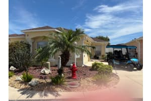 1069 Burnettown Pl, THE VILLAGES