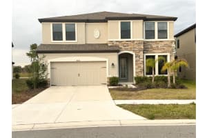 14820 Paddock Pond Ave, LITHIA