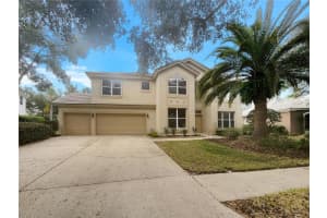 18105 Regents Square Dr, TAMPA