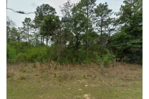 2338 W Riley Dr, CITRUS SPRINGS