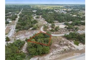 1329 Homosassa Ct, KISSIMMEE 1329 Homosassa Ct, KISSIMMEE