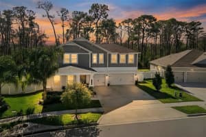 11120 Robert Frost Dr, WINTER GARDEN