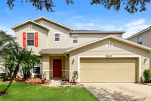 11167 Golden Silence Dr, RIVERVIEW