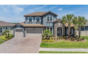 29043 Picana Ln, WESLEY CHAPEL