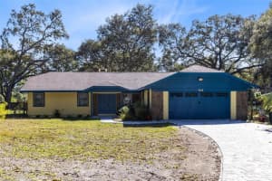 7838 Sloewood Dr, MOUNT DORA