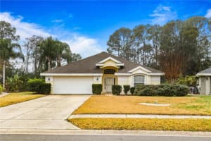 52 Cormorant Cir, DAYTONA BEACH