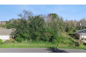 Palaiseau, KISSIMMEE