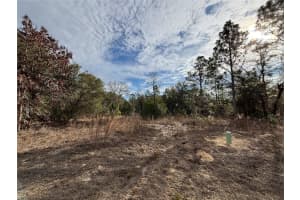 6505 N Varsity Ave, CITRUS SPRINGS