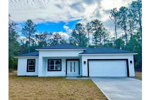 228 W Brimson Pl, CITRUS SPRINGS 228 W Brimson Pl, CITRUS SPRINGS