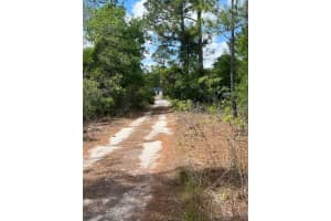 331 Tanager Ave, SEBRING 331 Tanager Ave, SEBRING