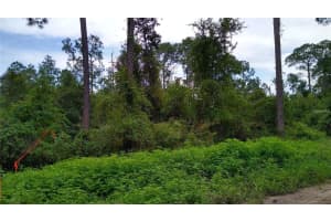 12th Ave, DELAND 12th Ave, DELAND