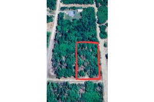 12021 Sw 85th Pl, DUNNELLON