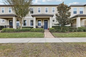 9737 Amber Chestnut Way, WINTER GARDEN