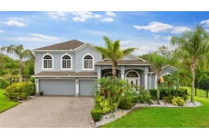 6234 Tremayne Dr, MOUNT DORA