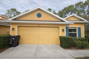20428 Harvest Oak Ct, TAMPA