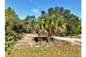 Greentree Ave, NORTH PORT