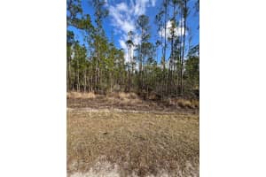 6660 Balboa Blvd, SEBRING