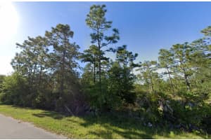 19665 Ralston St, ORLANDO