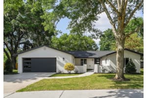 213 W Tilden St, WINTER GARDEN