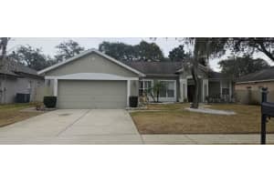 1087 Shimmering Sand Dr, OCOEE