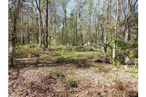 1026 Buist St, ORLANDO