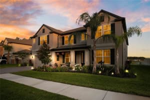 19335 Eagle Creek Ln, TAMPA